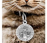 Saint Francis of Assisi     Protect My Cat   Pet Tag