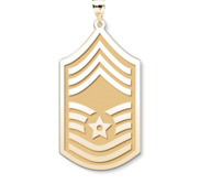 U S AirForce National Guard Chief Master Sergeant Pendant