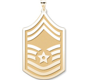 U S AirForce National Guard Senior Master Sergeant Pendant