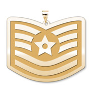 U S AirForce National Guard Technical Sergeant Pendant