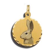 Rabbit Charm