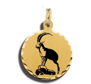 Antelope Charm