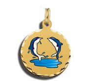 Dolphins Charm