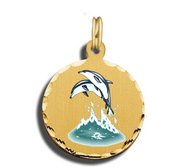 Dolphins Charm