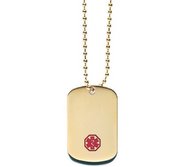 Gold Plated Stainless Steel Medical ID Dog Tag with Chain