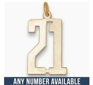 Number Charm or Pendant with 2 Digits