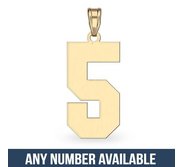 High Polished Single Digit Number Charm or Pendant