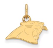 Carolina Panthers XS Pendant