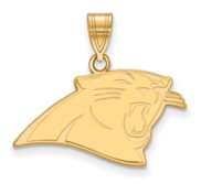 Carolina Panthers Medium Pendant