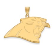 Carolina Panthers XL Pendant