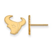 Houston Texans XS Post Earring