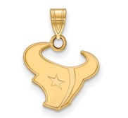 Houston Texans Small Pendant