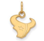 Houston Texans XS Pendant