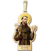 Saint Francis of Assisi Outlined Religious Medal   Color EXCLUSIVE 