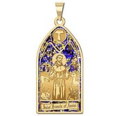 Saint Francis of Assisi   Stained Glass Religious Medal  EXCLUSIVE 