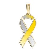 Awareness Ribbon Gold and Silver Color Charm