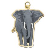 Elephant   African Charm