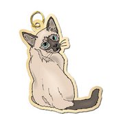 Cat   Siamese Charm