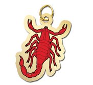 Scorpio Charm