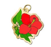 Hibiscus Charm