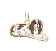 Dog   King Charles Cavalier Spaniel Charm