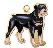 Dog   Rottweiller Charm