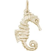 SEAHORSE