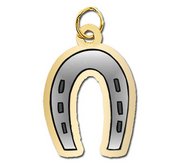 Horseshoe Charm