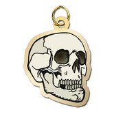 Skull Charm