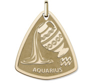 Aquarius Symbol Shield Pendant or Charm