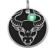 Taurus Symbol Round Charm or Pendant w  Birthstone