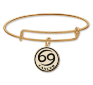 Cancer Symbol Expandable Bracelet