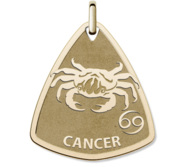 Cancer Symbol Shield Pendant or Charm