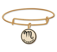 Scorpio Symbol Expandable Bracelet