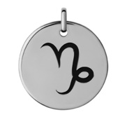 Capricorn Black Enameled Round Disc Charm