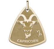 Capricorn Symbol Shield Pendant or Charm